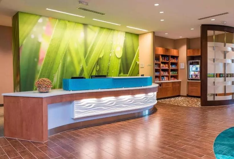Hotelli Springhill Suites By Marriott Chicago Southeast/munster, In