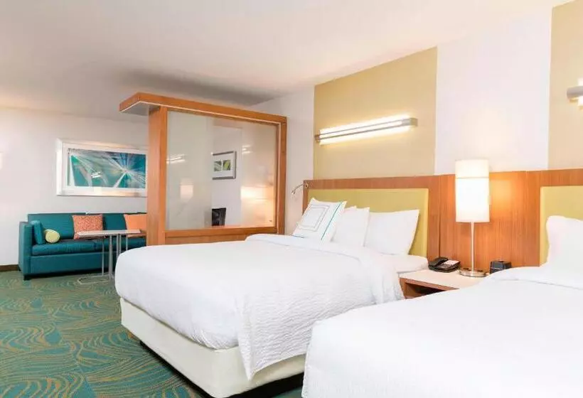 Hotelli Springhill Suites By Marriott Chicago Southeast/munster, In