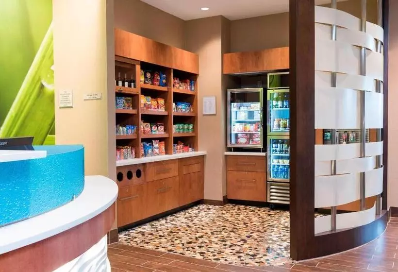 Hotelli Springhill Suites By Marriott Chicago Southeast/munster, In