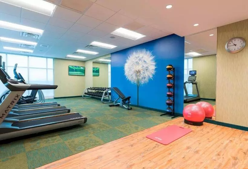 Hotelli Springhill Suites By Marriott Chicago Southeast/munster, In