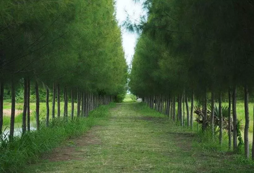 Xaiyong Resort ไทรโยงรีสอร์ท