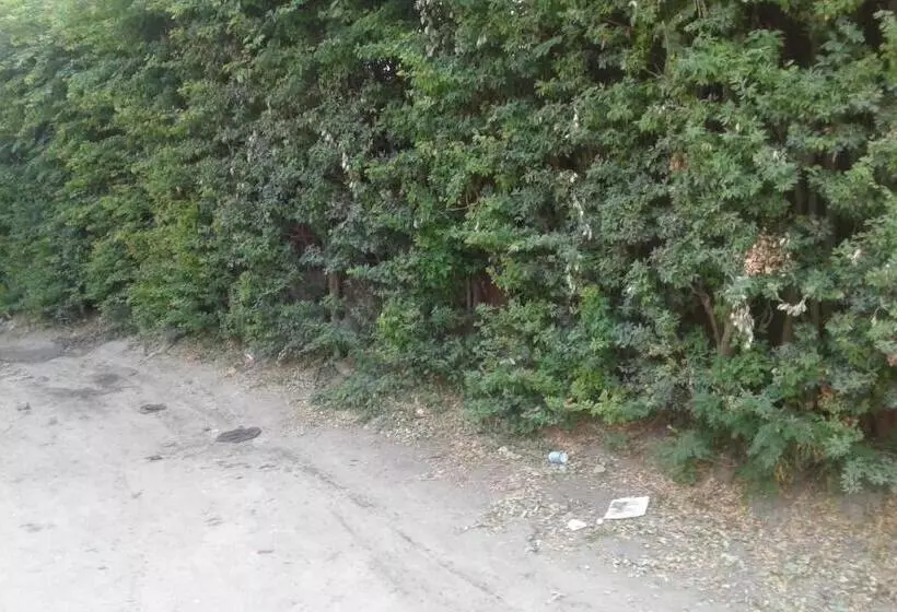 هاستل Jj & Je Family House