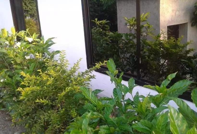 هاستل Jj & Je Family House