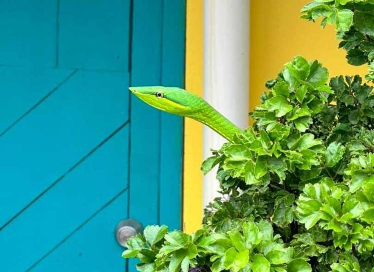 تختخواب و صبحانه Casa Marbella