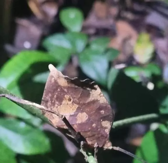 Aamiaismajoitus (B&B) Casa Marbella