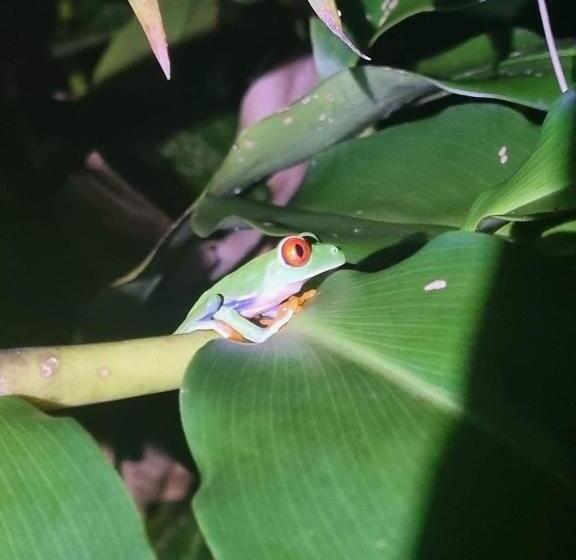 تختخواب و صبحانه Casa Marbella