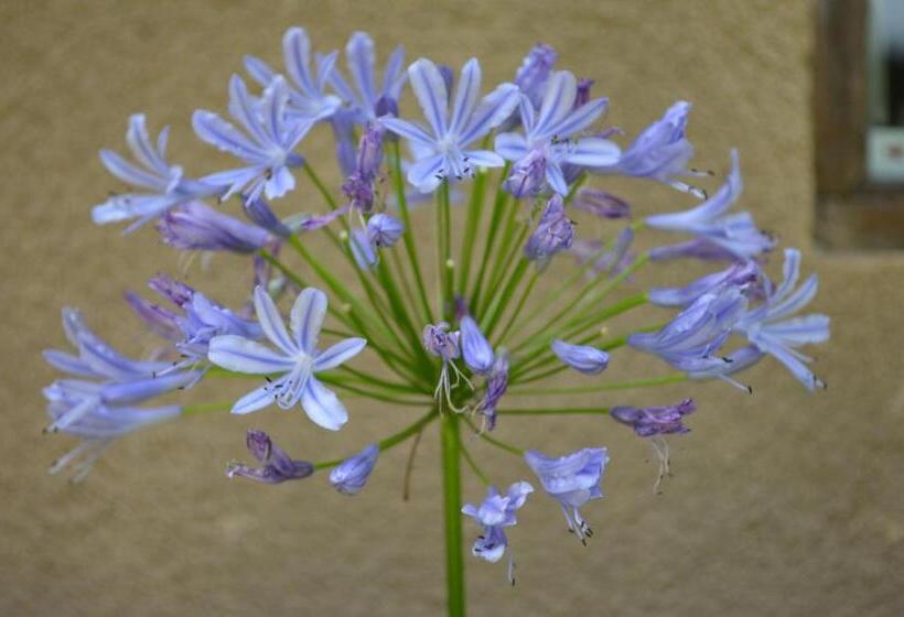 Bed and Breakfast The Researchers Rest