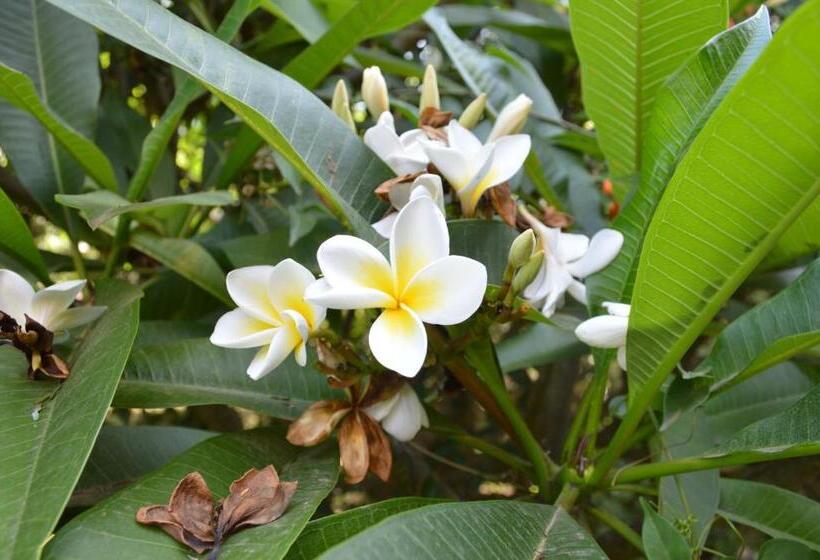 Bed and Breakfast The Researchers Rest
