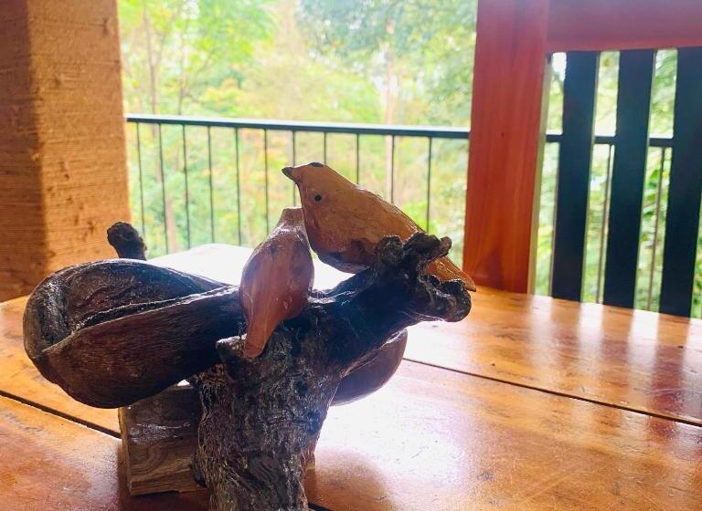 בית מלון כפרי Ella South Star