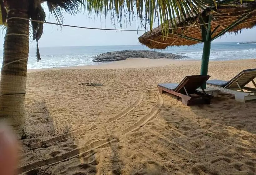 هتل Palm Rock Beach