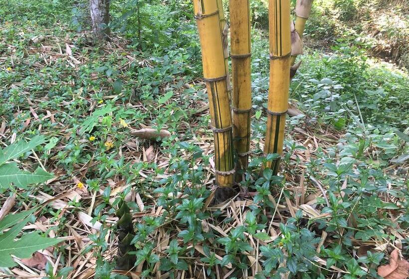 The Creek Garden Resort Huainamrin