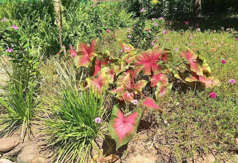 The Creek Garden Resort Huainamrin