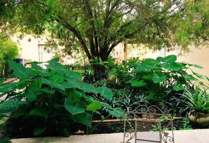 Hostel Hostal Kin Beh