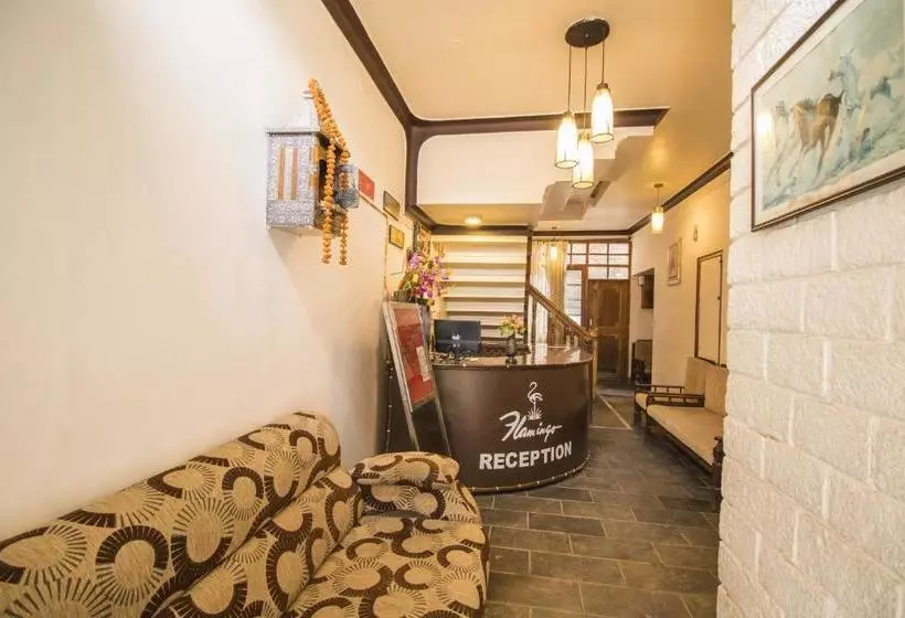تختخواب و صبحانه Flamingo Resort