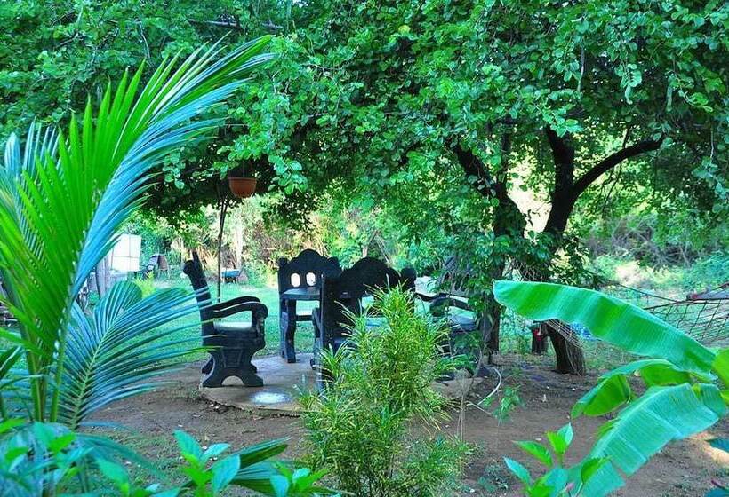 Bed and Breakfast Sigiri Corridor Home Stay