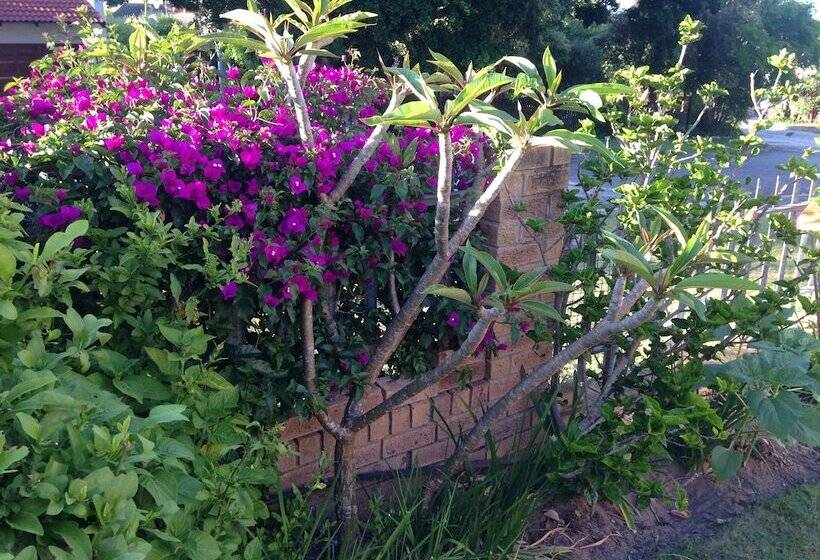 צימר Blue Fern Of Knysna