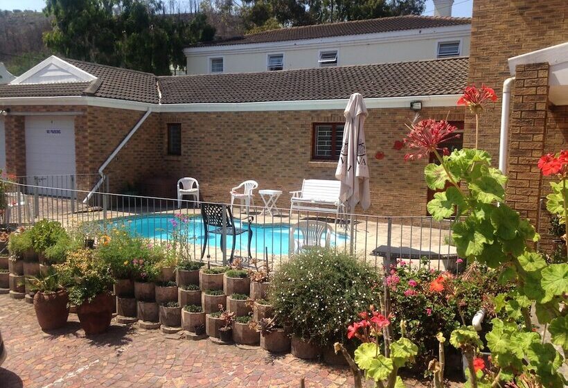 צימר Blue Fern Of Knysna