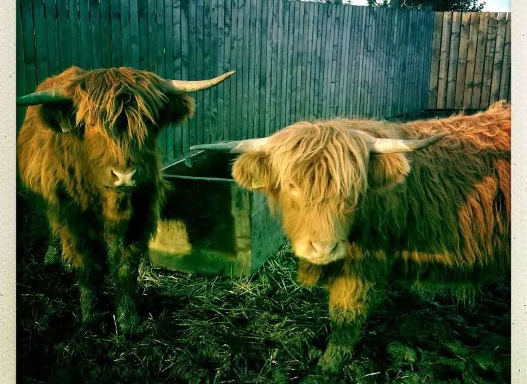 Aamiaismajoitus (B&B) The Stables At The Vale