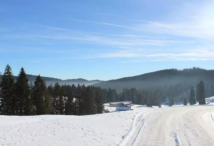 Boutique Hotel Kokoschinski