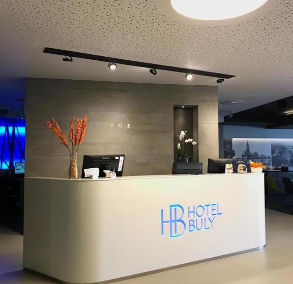 בית מלון כפרי Buly Opava