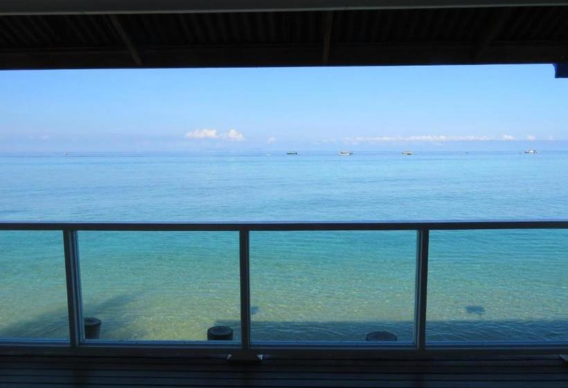 אתר נופש X Rector Finest