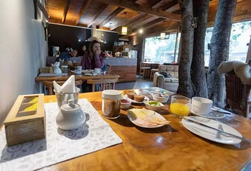 هاستل Hostal & Loft El Laurel Temuco