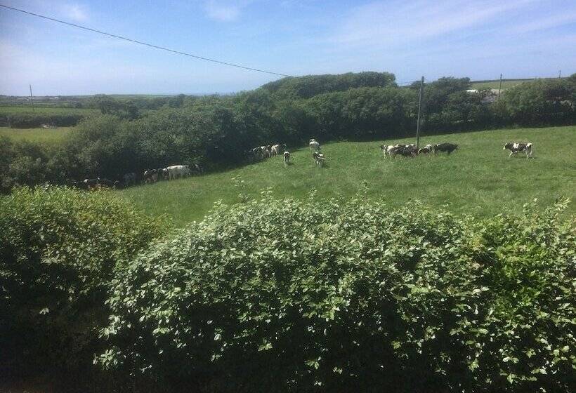 Copps Castle Bed & Breakfast