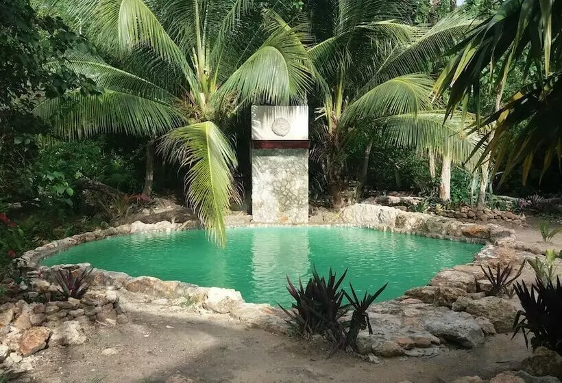 هتل Serenity Retreats Belize A Vegan Resort
