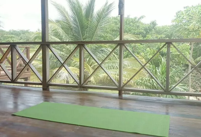 هتل Serenity Retreats Belize A Vegan Resort