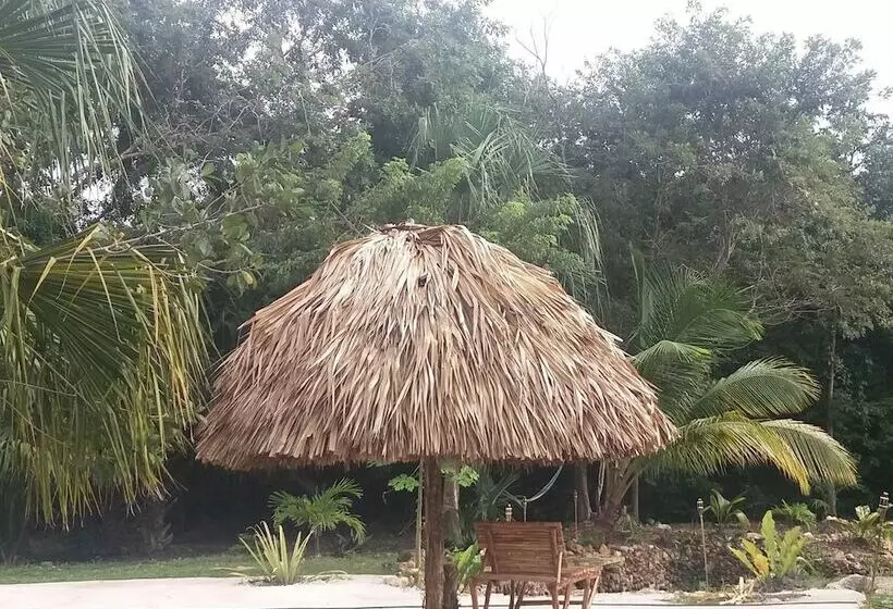 هتل Serenity Retreats Belize A Vegan Resort