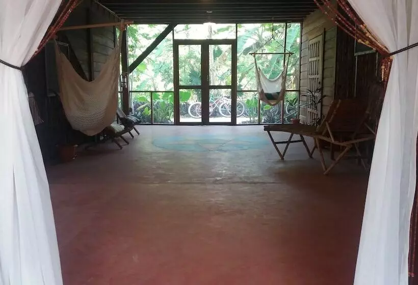 هتل Serenity Retreats Belize A Vegan Resort