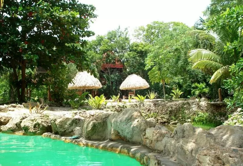 هتل Serenity Retreats Belize A Vegan Resort