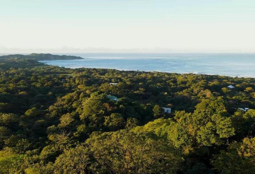 Отель Tierra Magnifica Boutique