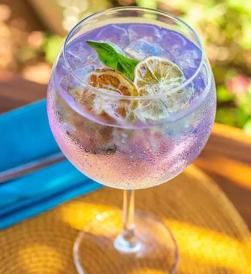 Hotelli Tierra Magnifica Boutique