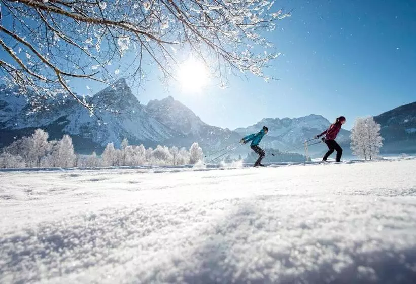 Mellow Mountain Hostel