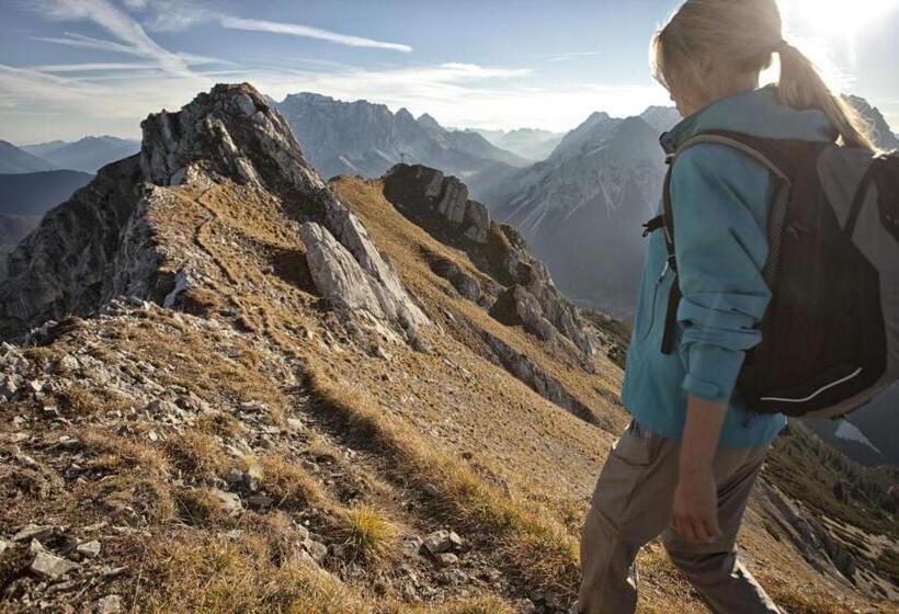 Mellow Mountain Hostel