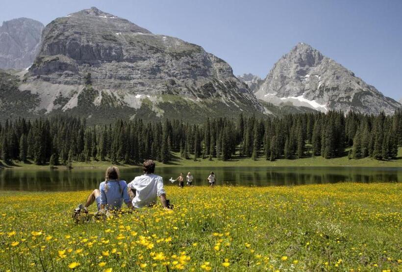 Mellow Mountain Hostel