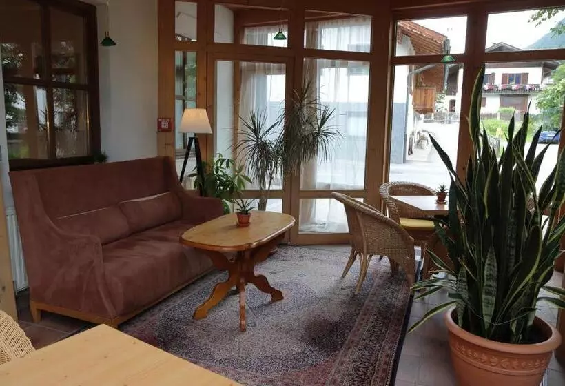 Mellow Mountain Hostel