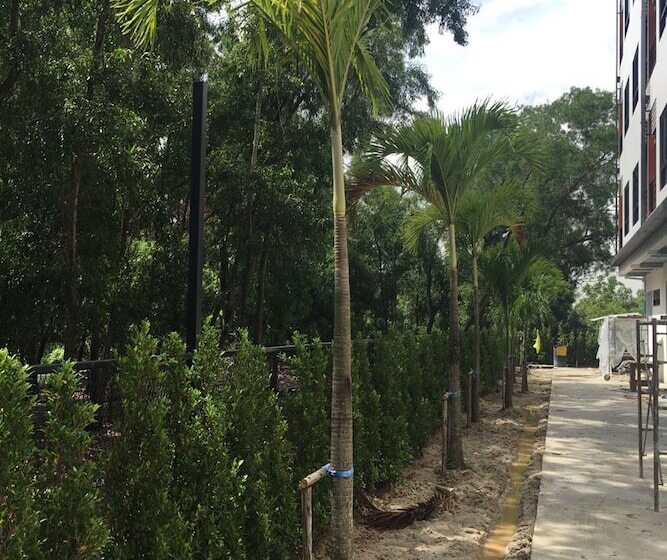 호텔 Bangkok Boutique Resort Rangsit