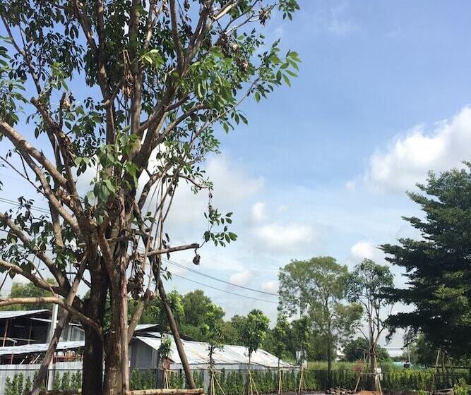 호텔 Bangkok Boutique Resort Rangsit