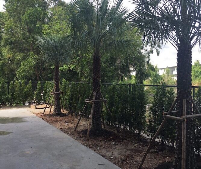 호텔 Bangkok Boutique Resort Rangsit