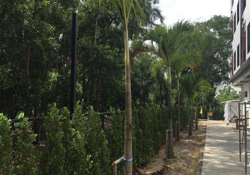 호텔 Bangkok Boutique Resort Rangsit