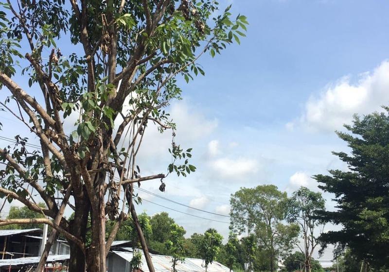 호텔 Bangkok Boutique Resort Rangsit