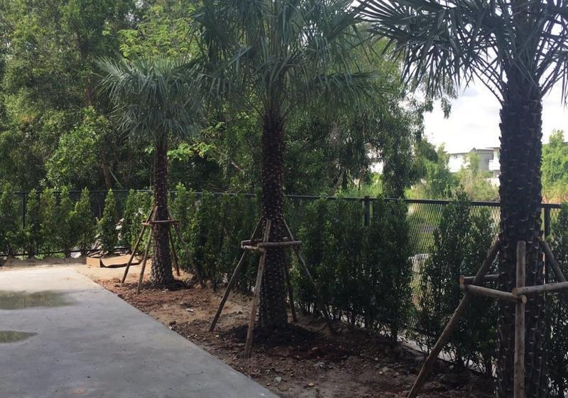 호텔 Bangkok Boutique Resort Rangsit