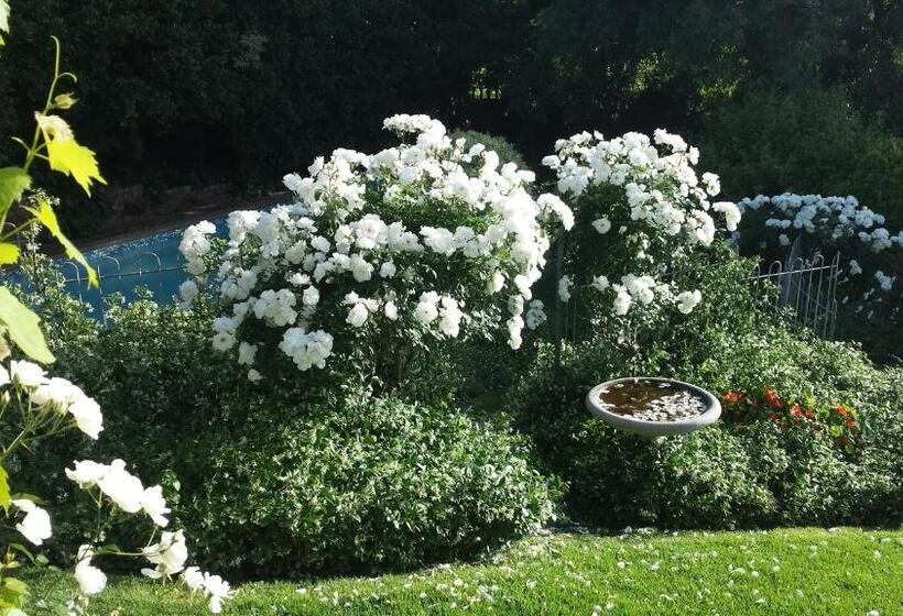 Bed and Breakfast Three Oaks