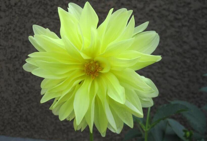 Отель Agbeviade