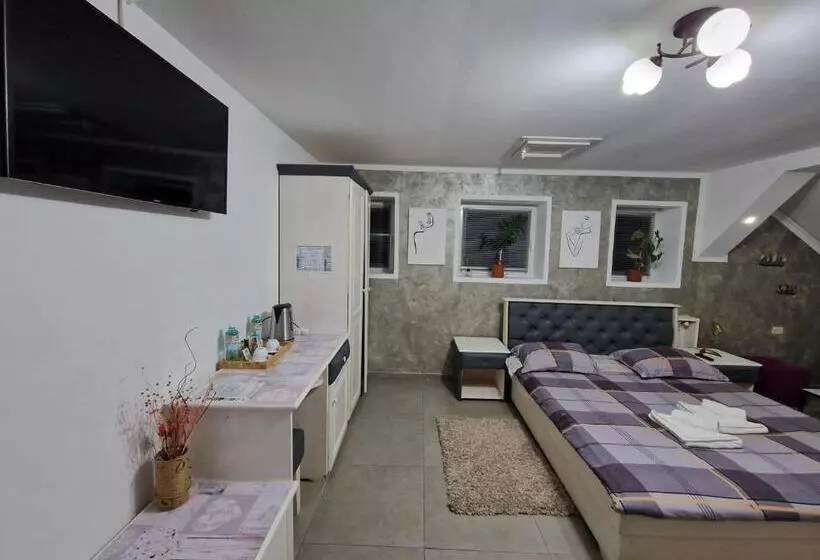 Cazare Moldi   Regim Hotelier