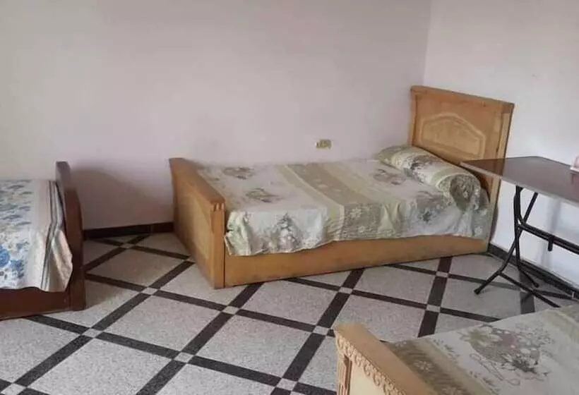 هاستل Cairo Panorama