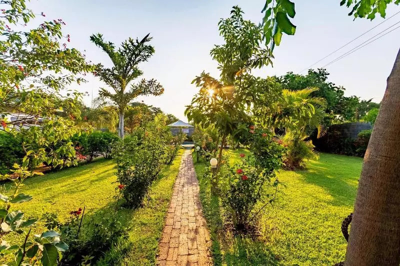 تختخواب و صبحانه Dzimbahwe Guest Lodge