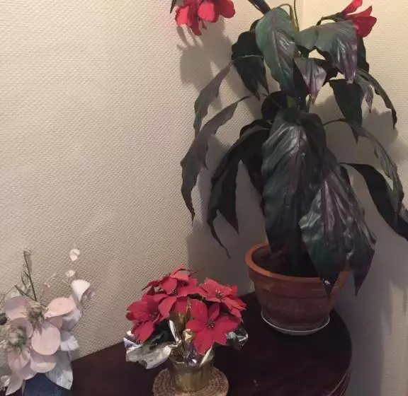 ベッドアンドブレックファースト Restaurant De L Europe